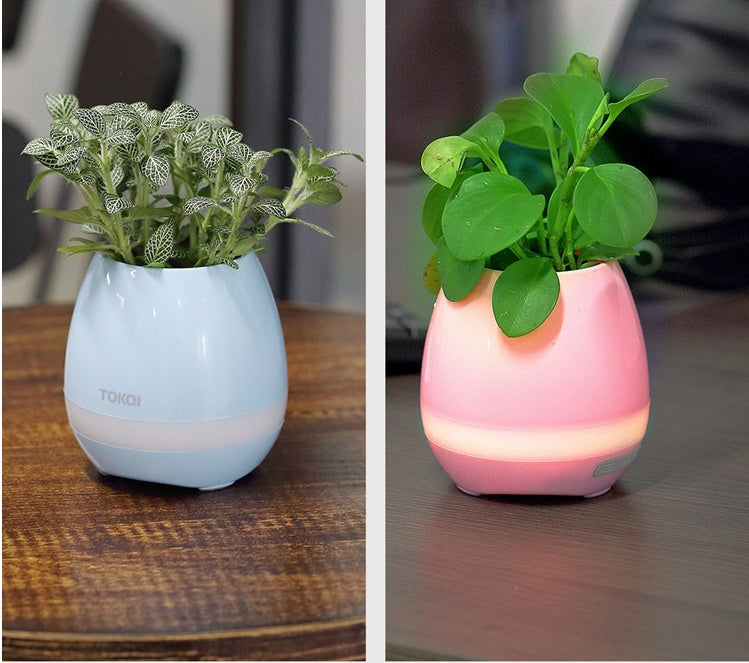 ad29c1845423c75446e047c00372c504
